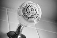 Small image of low flow shower head.