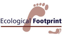 Image of a large footprint and a small footprint.