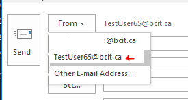 Web page snippets - accessing shared email accounts
