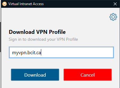 Screen shot of download vpn profile window.