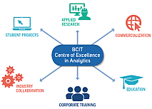 Centre of excellence in analytics diagram.