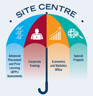 Site centre of excellence umbrella.
