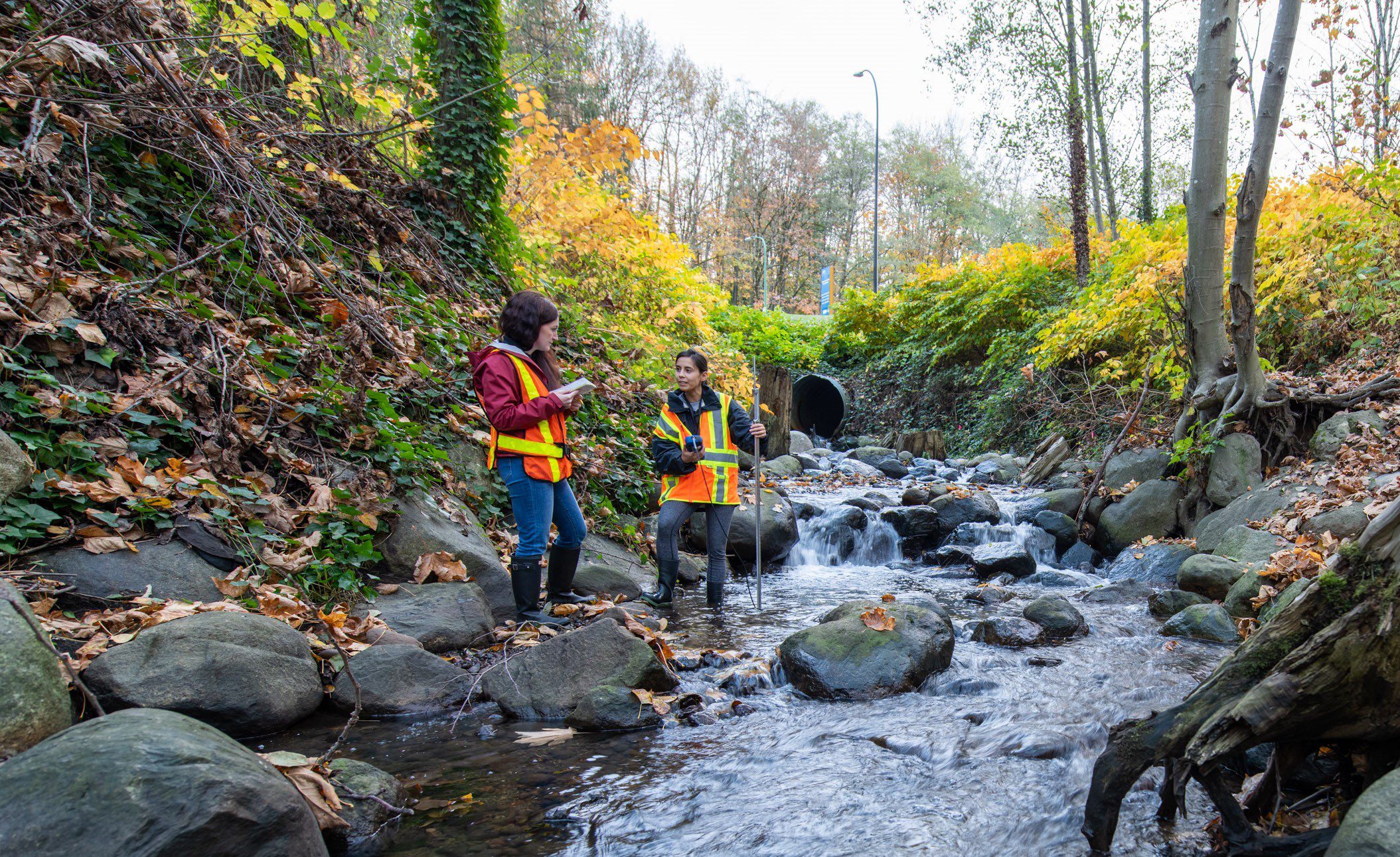 Sustainability - BCIT