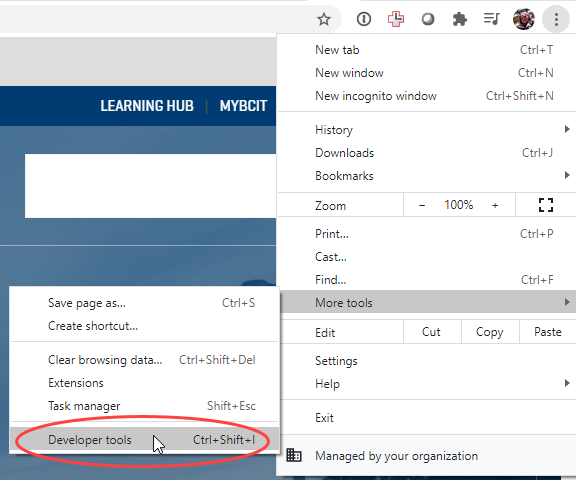 screen shot of the menus in Chrome to click to get to Developer Tools, with the Developer Tools option highlighted