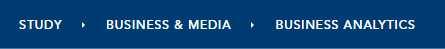 links across the top of a program site, showing Study > Business & Media > Business Analytics