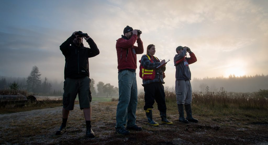 four people looking far with the sky in the background