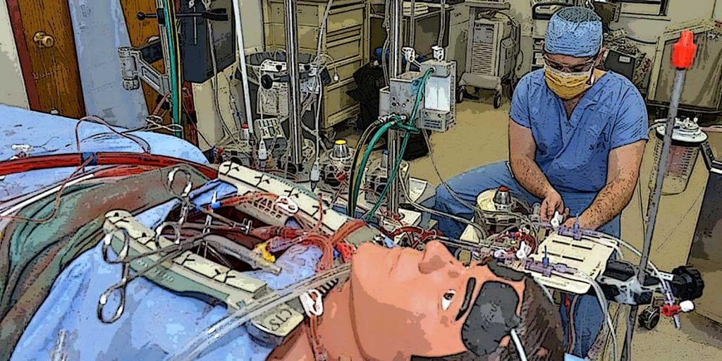 image of cardiovascular perfusion.