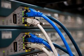 close up of blue and white ethernet cords plugged in