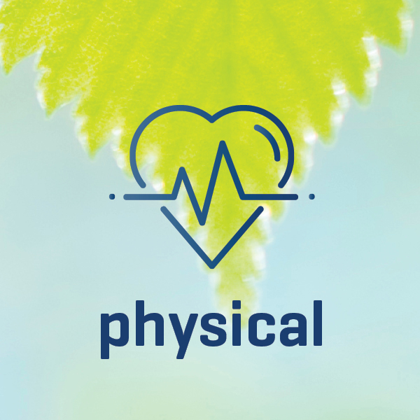 wellness_works_icon_physical