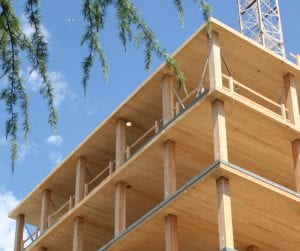 Image of mass timber building under construction