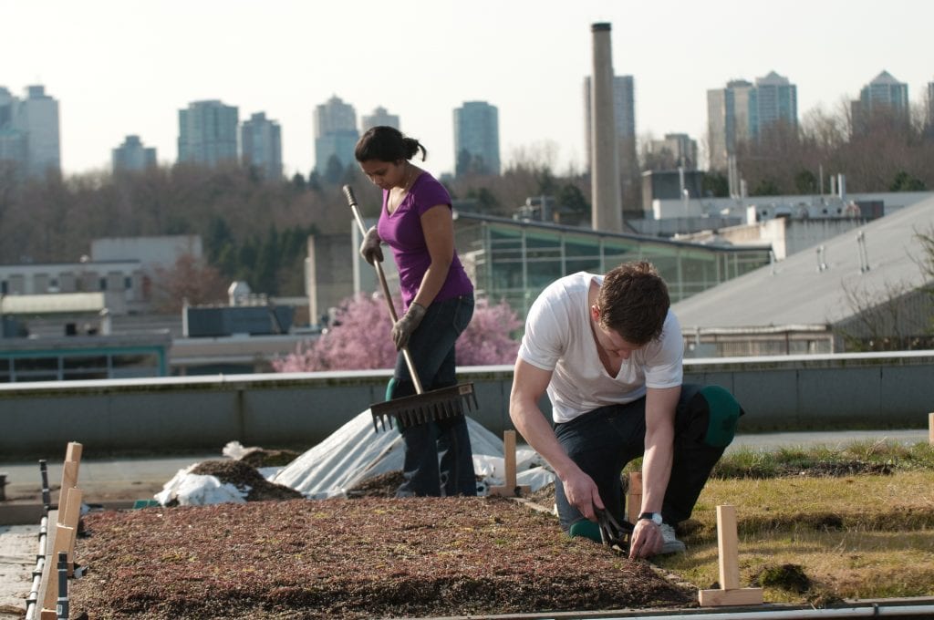 Two students working on a rooftop garden