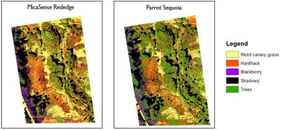 Side by side multispectral maps, one labelled MicaSense rededge and one labelled Parrot Sequoia