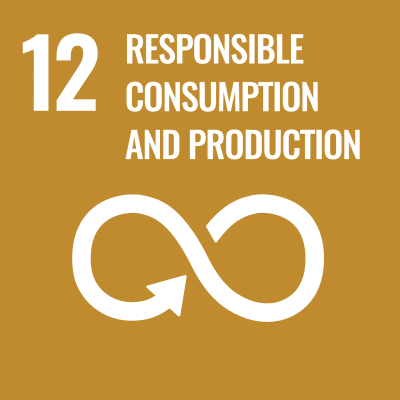 UN SDG 12 Responsible Consumption and Production Icon.