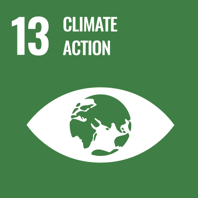 UN SDG 13 Climate Action Icon.