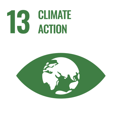 UN SDG 13 Climate Action icon.
