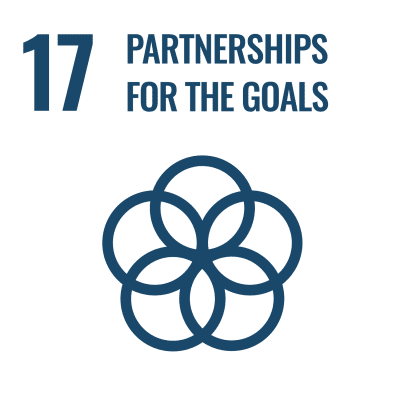 UN SDG 17 Partnerships and the goals icon.