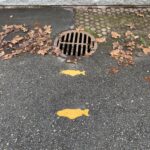 Storm drain with painted fish.