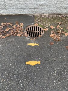 Storm drain with painted fish.