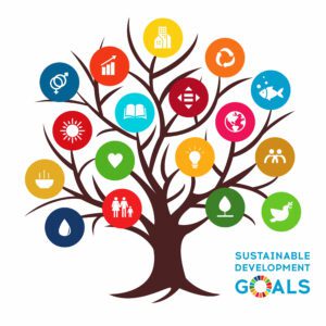Illustration of the UN SDGs on a tree.