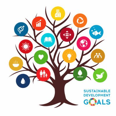 Illustration of the UN SDGs on a tree.