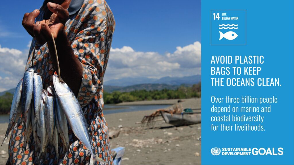 SDG 14 Life Under Water Action Card.