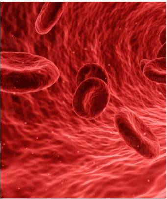microscopic view of blood