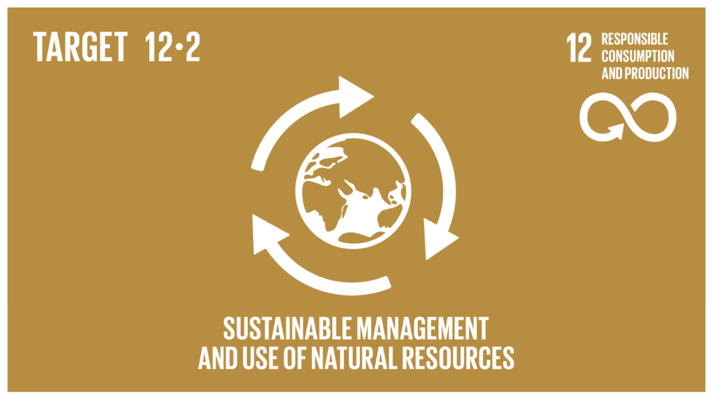SDG 12, Target 12.2