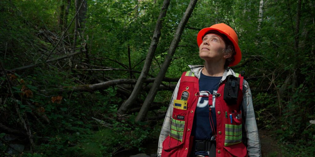 A woman stands in the forest, looking up at the canopy of trees, wearing a hard hat and safety vest.