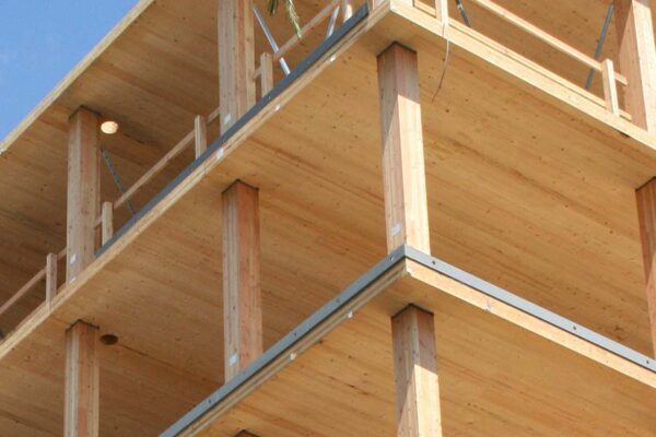 Example of Mass Timber Construction Building Techniques