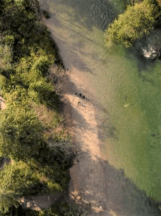 Aerial shot of river's edge in the forest with faint images of human figures on riverbank