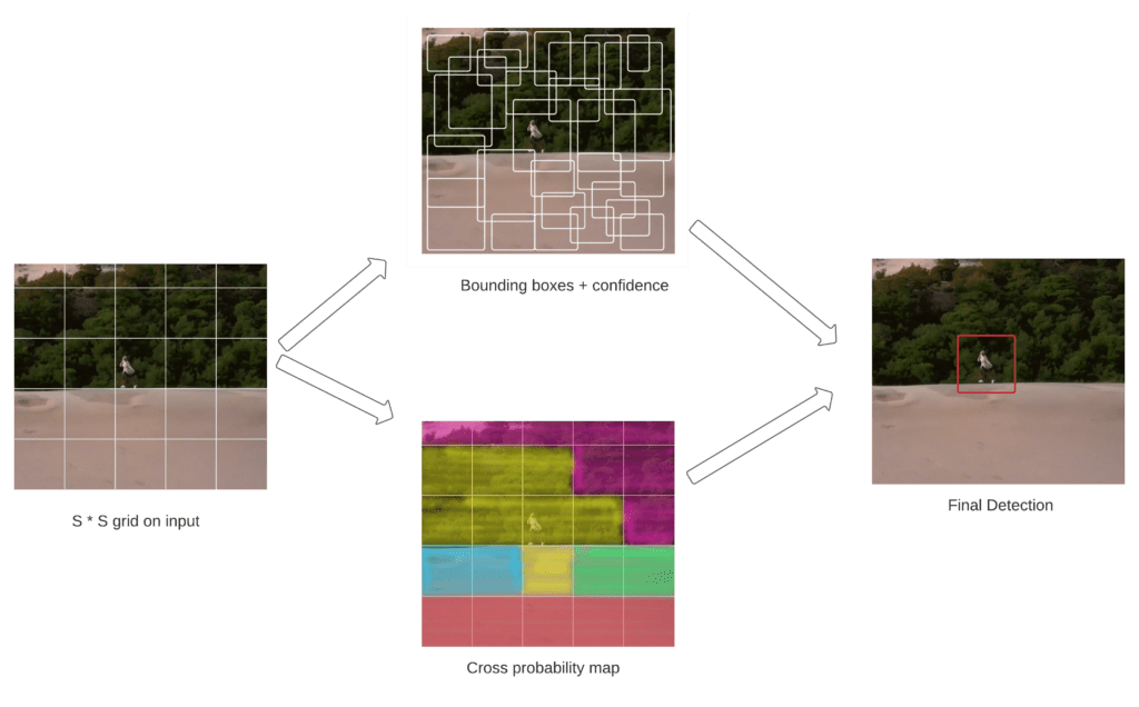 Diagram with 4 boxes each showing a person on a beach next to forest. Left box has grid lines, top middle box has bounding boxes, bottom middle has shaded areas labeled class probabilities, and right image has a red box around the person and says final detection