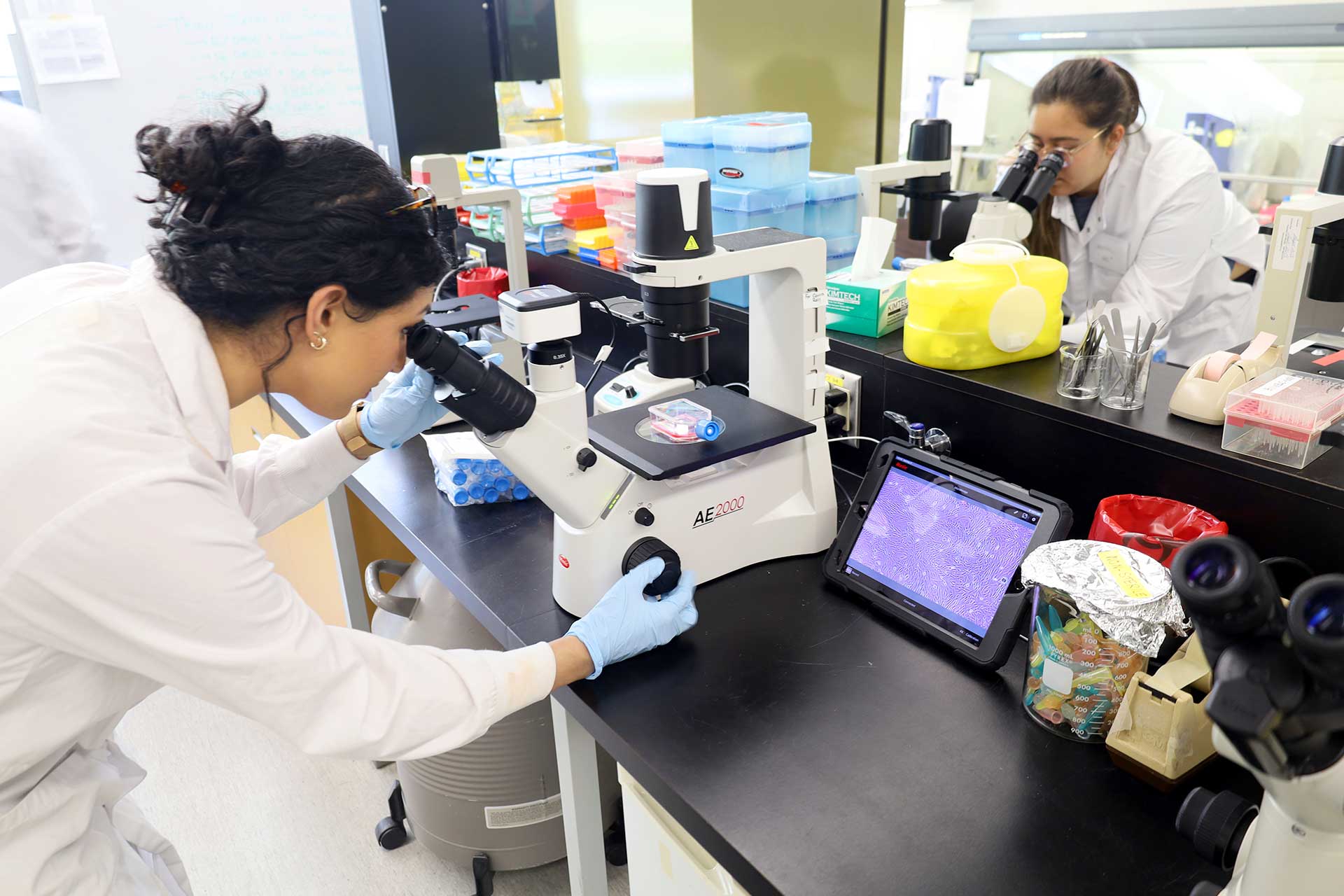 BCIT biotechnology students in the lab