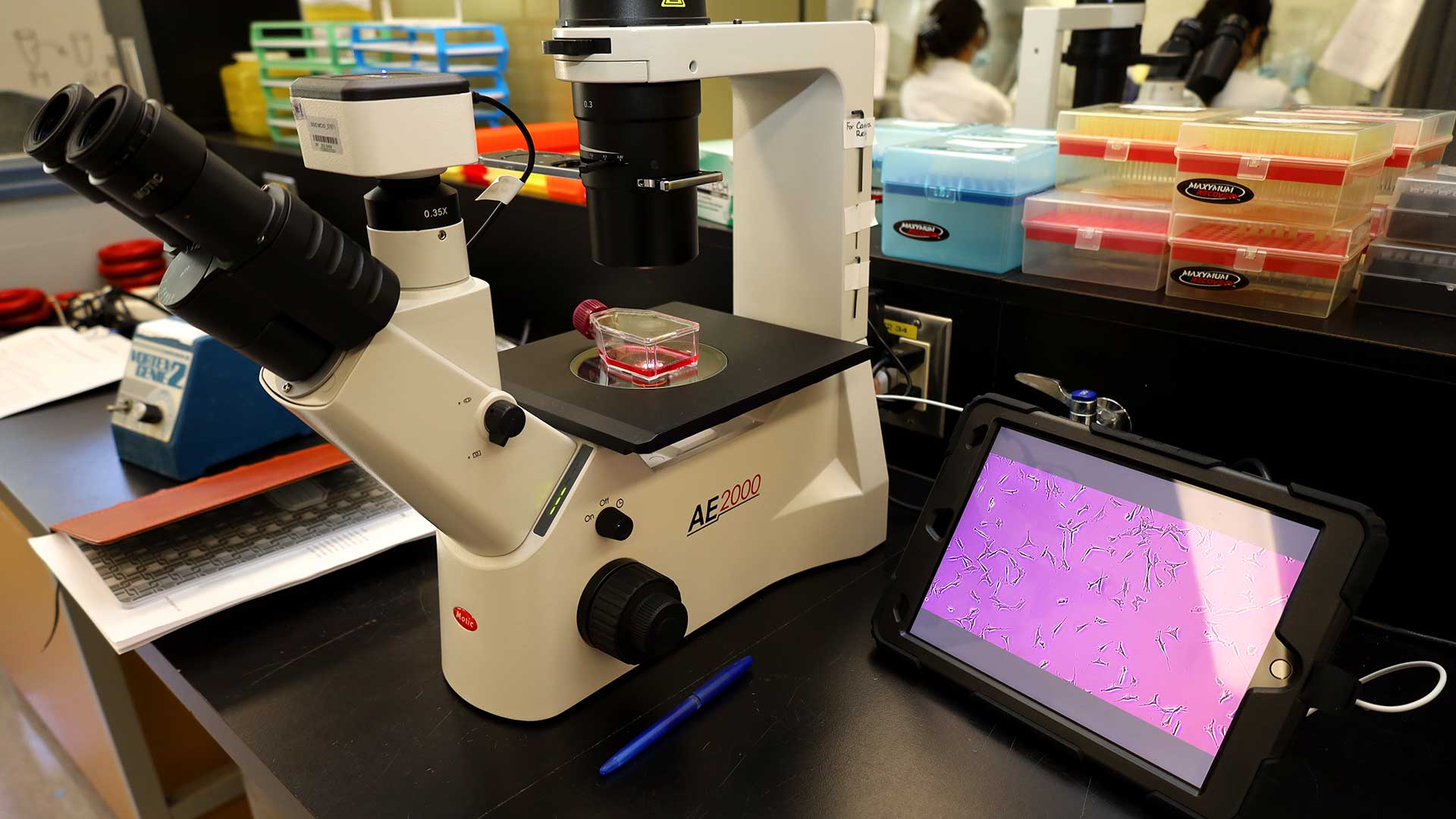 Biotech microscope image