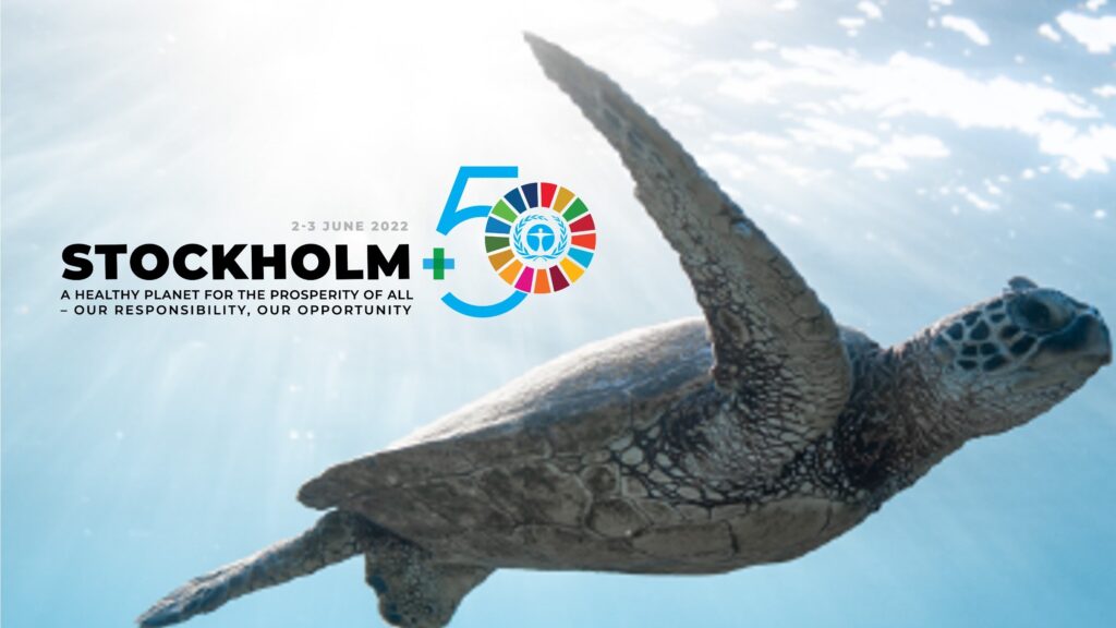 Image of sea turtle with Stockholm +50 logo.