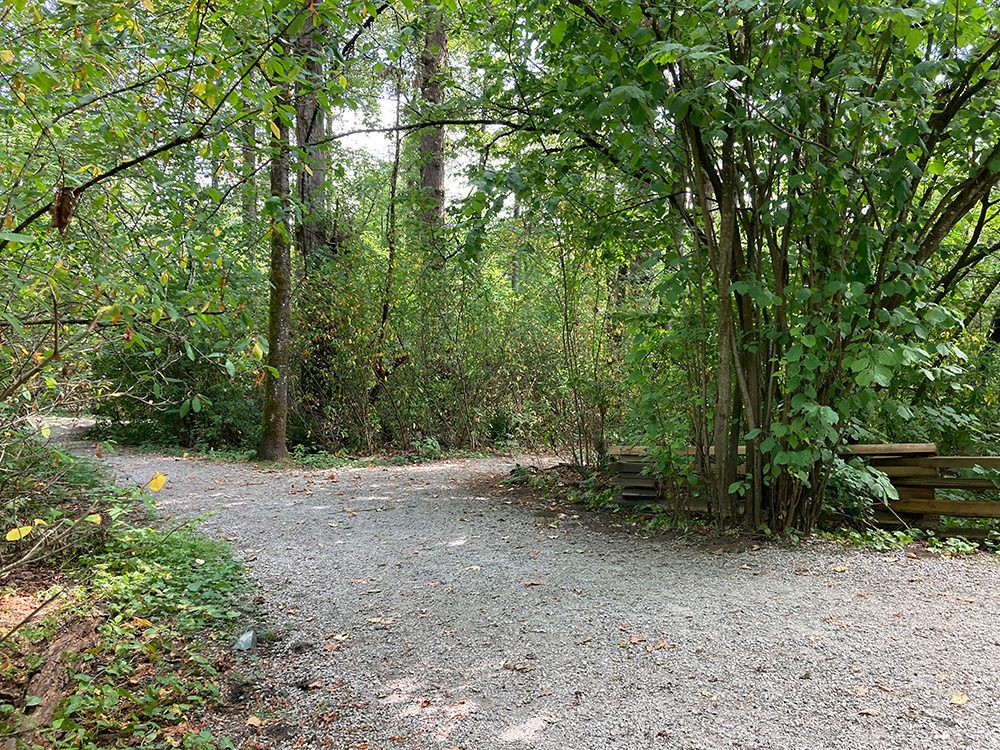 Guichon Creek Trail Split