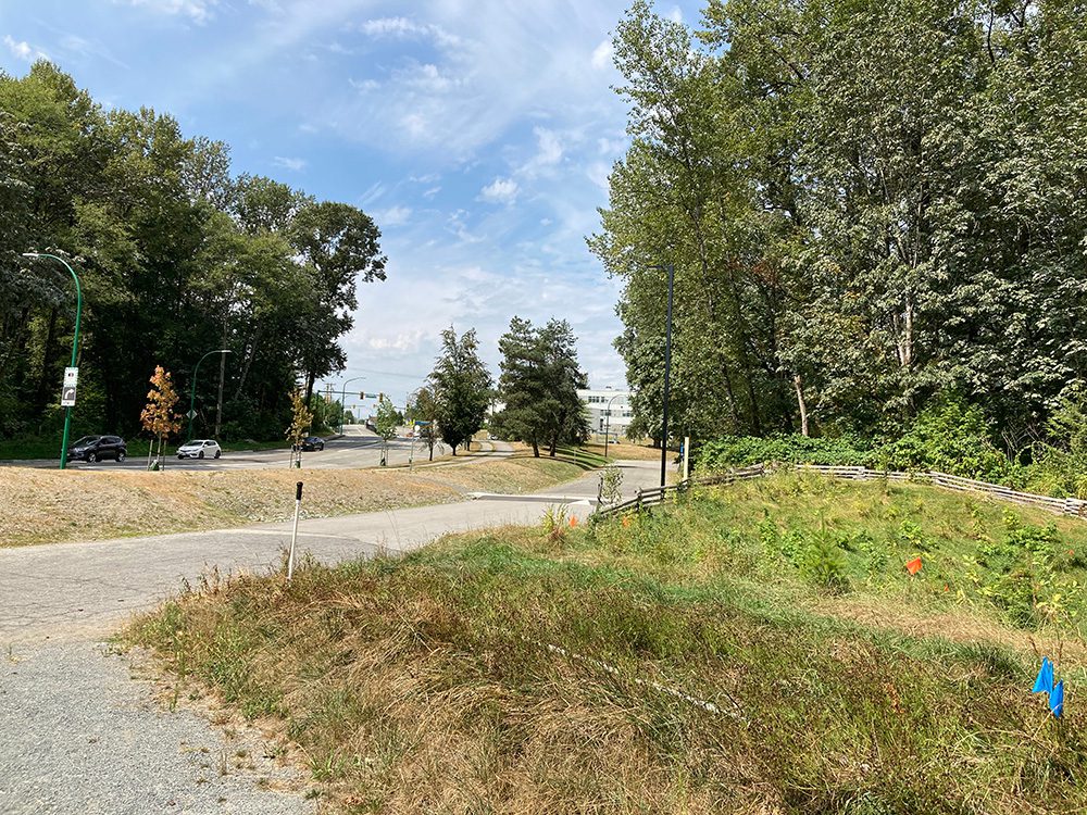 Lot O- South View