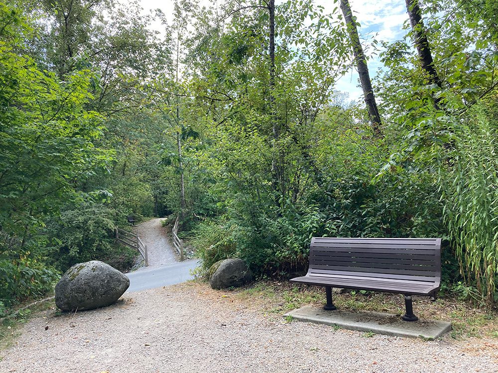Seating Guichon Creek trail