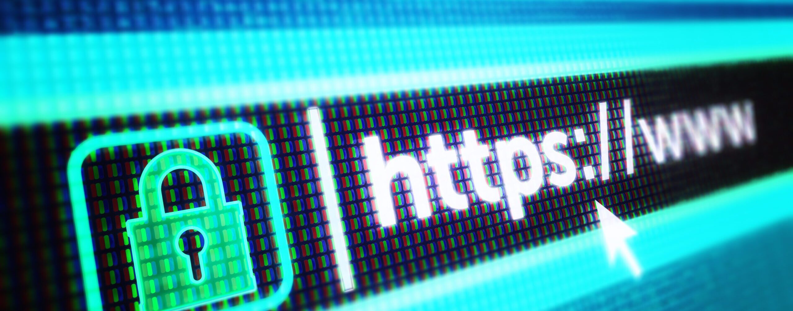 Secure Web Browsing