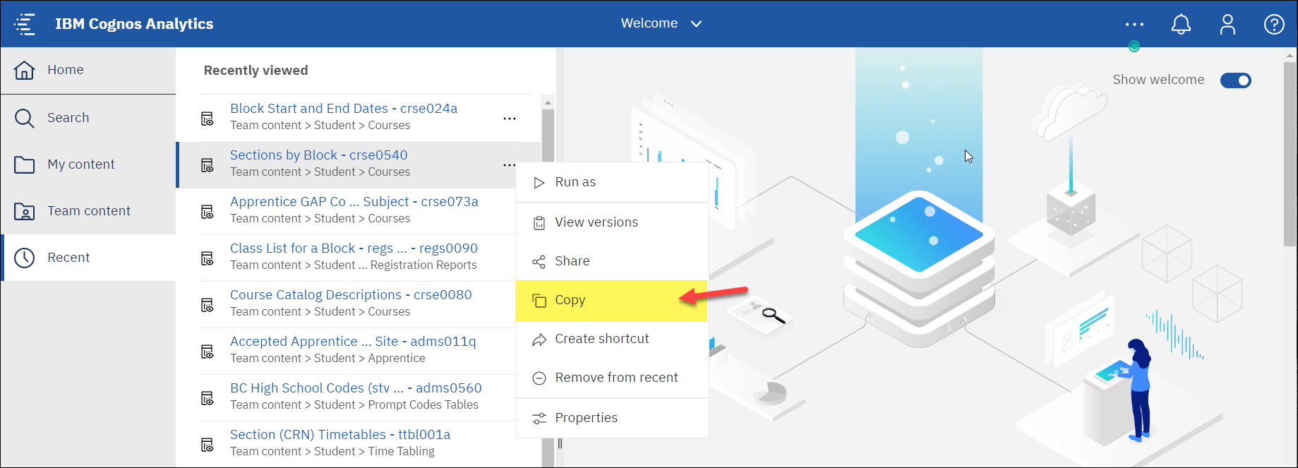 Screenshot Cognos Copy button