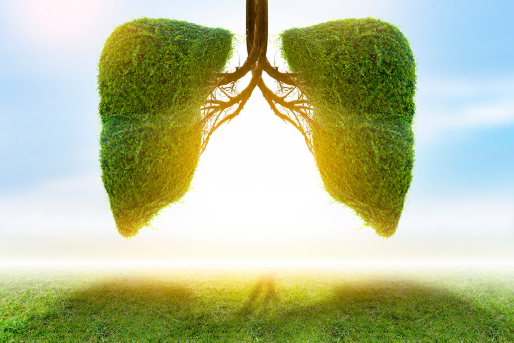 Illustration of lung tree.