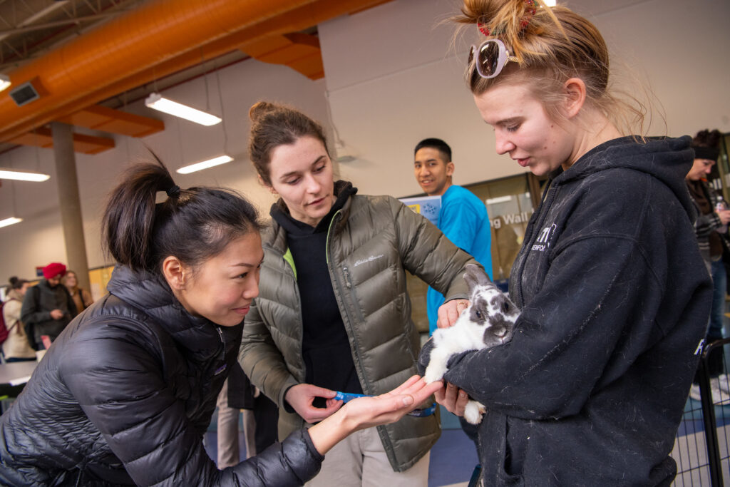 Three female students laying with a bunny at BCIT