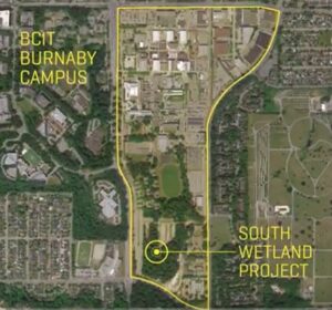 Aerial view of the BCIT Burnaby campus with the location of the South Wetland project indicated.