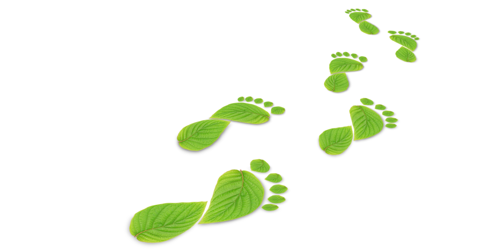 Human footprints made of leaves.