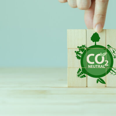 Image showing wooden blocks with carbon neutral sustainable development concept.