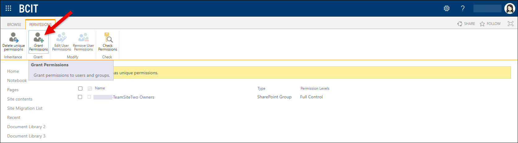 SharePoint Document Library clicking Grant Permissions button