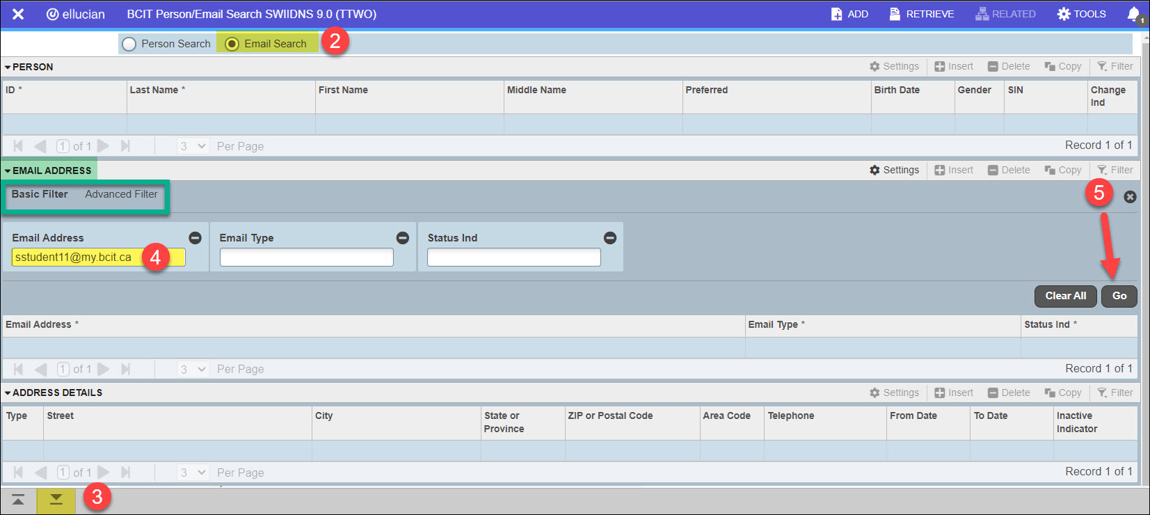 Screenshot Banner SWIIDNS Email search process