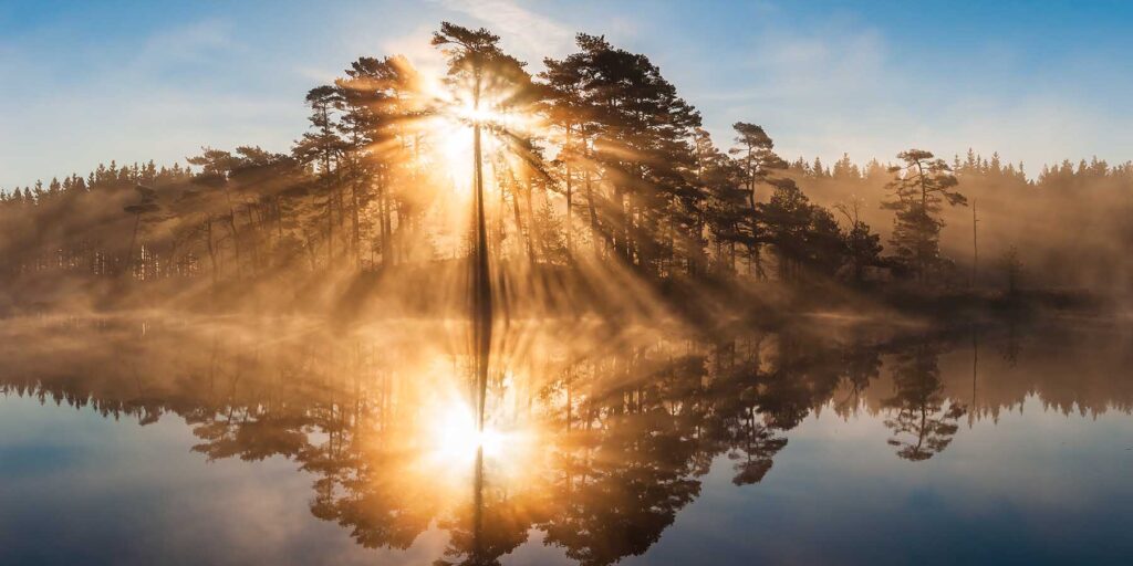 Stunning sunrise through trees and reflected on still lake