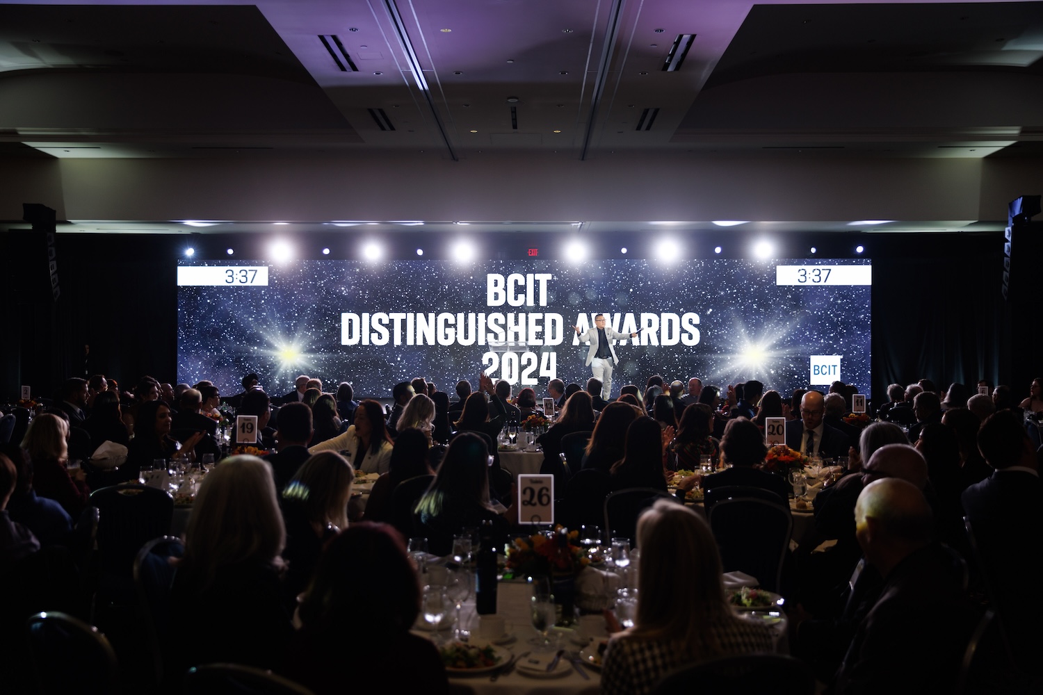 News feature 2024 Distinguished Awards
