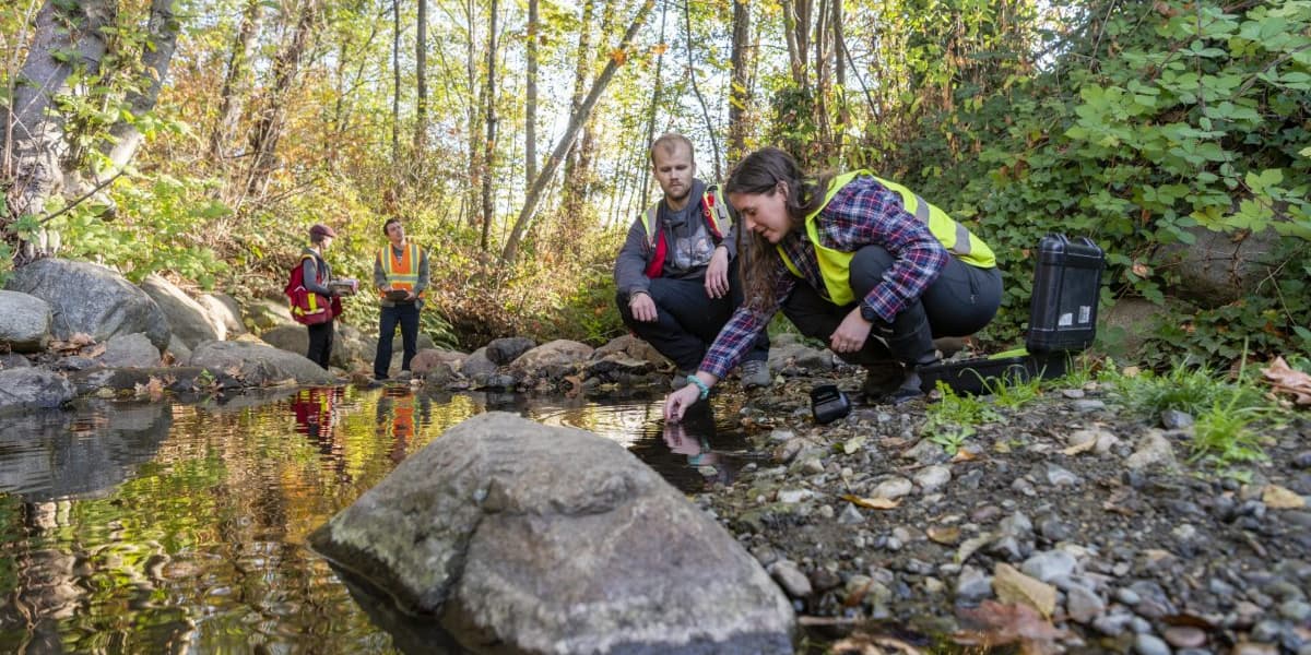 BCIT offers training to support students in Clean Economy jobs.