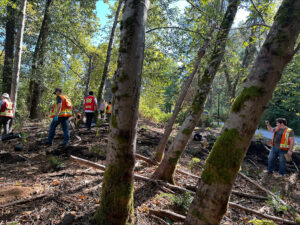 Invasive species removal work from Guichon Creek